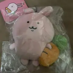ナガノ　ナガノキャラクターズ　FRIENDSマスコット　兎　匿名配送