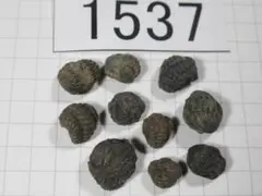 Item thumbnail for item b6a4b18b-903e-43b9-baf7-dbff6adbcba2