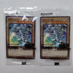 【匿名配送】遊戯王×SUNSTAR TONIC 青眼の白龍 限定コラボカード2枚