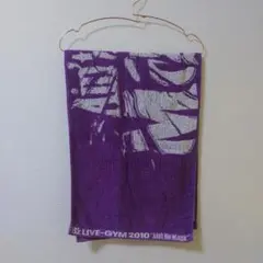 B'z　2010 MAGIC　ツアータオル　中古