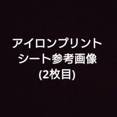 ※購入不可 アイロンプリントシート参考画像