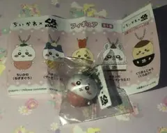 Item thumbnail for item 033a1bb6-0be2-487a-b844-406550f22cbb