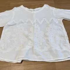 プランテーション　シャツ