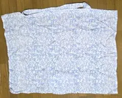 Item thumbnail for item 25e944ee-e099-4680-a669-2c56b00ff700