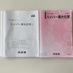 ハイパー東大物理 2023 完成シリーズ 河合塾 2025年最新】河合塾 ハイパー東大物理の人気アイテム - メルカリ