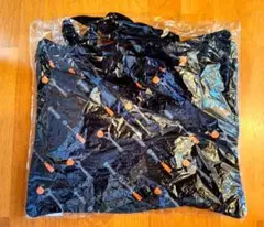 Item thumbnail for item ebf59ee4-3f71-4760-9d18-618639a2a257