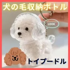 Item thumbnail for item 018398e9-d86e-423a-97fb-8de173652e12