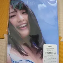 向井地美音　AKB48 両面抱き枕カバー90cm×45cm　新品未使用