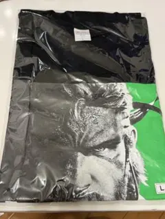 Item thumbnail for item aa24ef6a-8398-45b9-aae7-fa1969339703