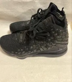 Nike Lebron 17 “CURRENCY” ナイキ