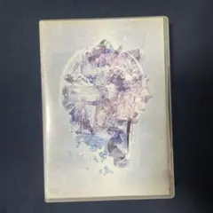 RADWIMPS Live & Document 2014