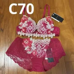 Item thumbnail for item 39356ef7-9379-4277-8317-351233fa8e70