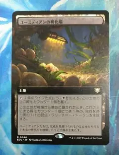 MTG ユーミディアンの孵化場/Eumidian Hatchery EOC拡張日