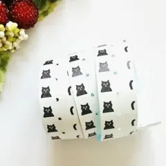 Item thumbnail for item cf41a7b2-033b-49f1-a184-c9b9a02931b3