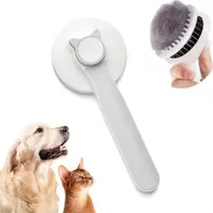 Item thumbnail for item fc34cbd4-ba8e-464a-9d9f-1a33c9df67d7