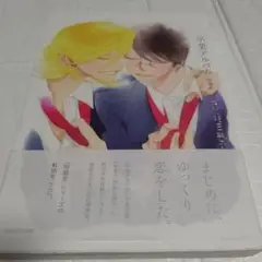 【希少本】初版 帯付き 増補版 卒業アルバム 中村明日美子 ボーイズラブ BL