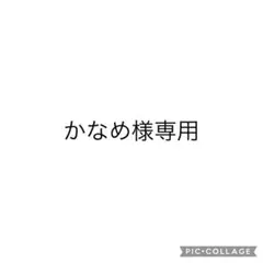 専用ページ