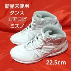 【新品未使用】ミズノ　ダンス　エアロビ　シューズ