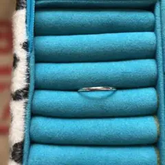 Item thumbnail for item fcd0d2ba-752d-443d-80a3-f107d5bd0d90