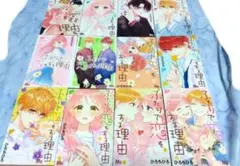 ☆ふたりで恋をする理由　12巻セット☆