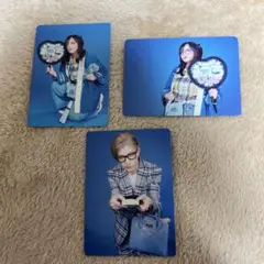 女王蜂 蜂戯王