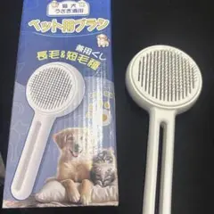Item thumbnail for item eff369e6-1695-42f1-ae80-fb3f62a66873