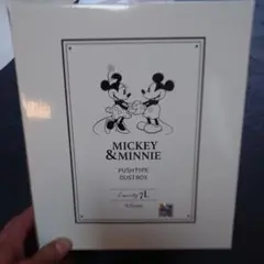 Disney Mickey & Minnie Dustbox 7L
