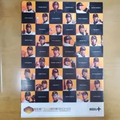 ジャイアンツ クリアファイル2010