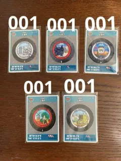 茨城県土浦市 マンホールカード 5枚セット