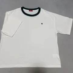 Item thumbnail for item 31e1763e-745d-4855-8c96-50a2a304ee05