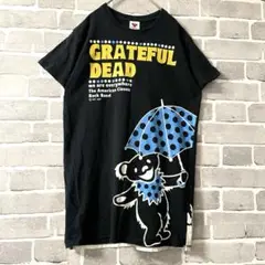GRATFUL DEAD ロングTシャツ　ビッグプリント　レイン　ユニセックス
