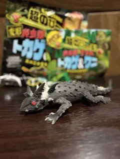 変形爬虫類リアルトカゲ＆ワニ モロクトカゲ