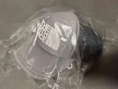 Item thumbnail for item 50abcdf6-7d7f-4eda-9146-a8afc49d90ab