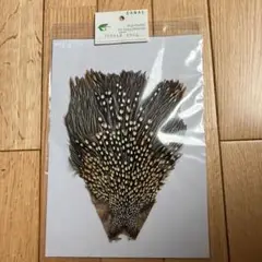 キャナル　高品質 ジャングルコック　　フライマテリアル 未使用品 IWK_2932_1692598891604_1200.JPG