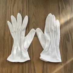 Item thumbnail for item 11ece90d-57c0-4251-a2d2-1d556db6a744