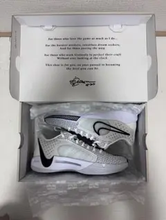 NIKE SABRINA 1 EP (レディース25cm)