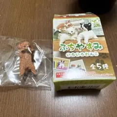 ふちやすみ　いろいろわんこ　トイプードル