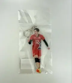 髙橋藍 アクリルキーホルダー 2025