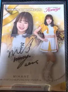 Item thumbnail for item cad3d2ac-07a9-46a3-bbef-6c121f8e91a8