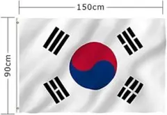 特大150×90cm 韓国の旗