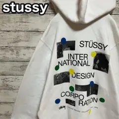 【入手困難】ステューシー♤ビッグロゴ 希少 パーカー ストリート即完売品 人気L