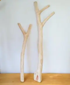 ヒノキの枝　オブジェ　2点セット