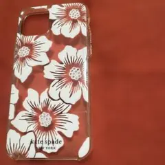 Item thumbnail for item b657c279-4d06-414a-9d57-676a6fe673bd