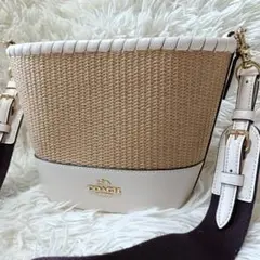 美品✨️COACH ショルダーバッグ かごバッグ レザー 本革 コーチ
