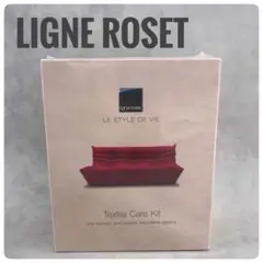 ligne roset テキスタイルケアキット　300ml 家具用　クリーナー