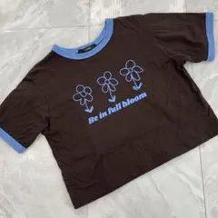 w closet Tシャツ ブラウン ブループリント 半袖 クロップド丈 F