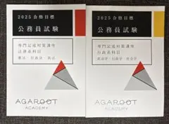 【2冊セット】 専門記述 法律系科目＆行政系科目