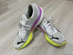 Item thumbnail for item 0697fa7e-32e0-49ae-9ece-14c807cbd6df