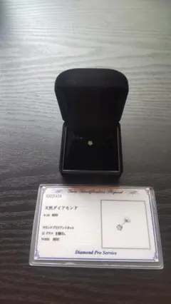 Item thumbnail for item 48ef6ce2-fd83-480f-9b66-da0119bbadc0