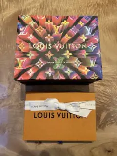 LOUIS VUITTON ケース ショップ袋(限定) 保存袋